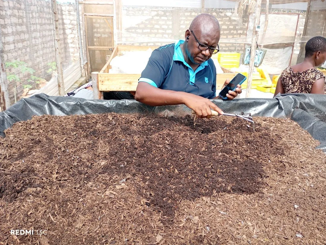 A visitor rakes through a bed of dark, crumbly frass compost