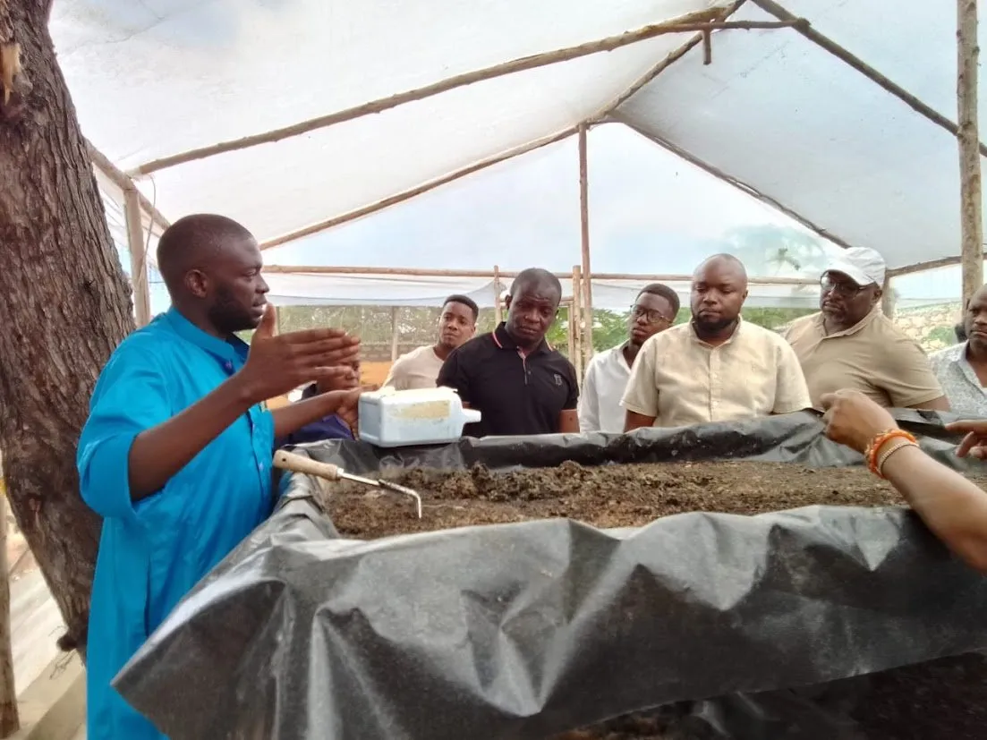 A HERI guide explains the Black Soldier Fly larvae beds to a group of visitors